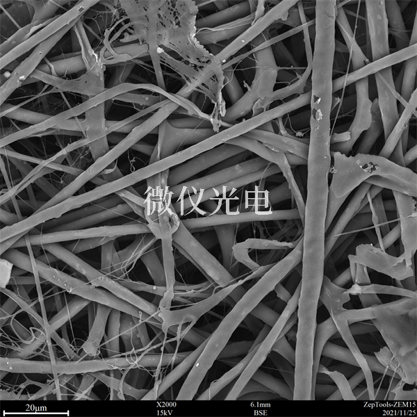 臺式掃描電鏡廣泛應(yīng)用于許多學科領(lǐng)域